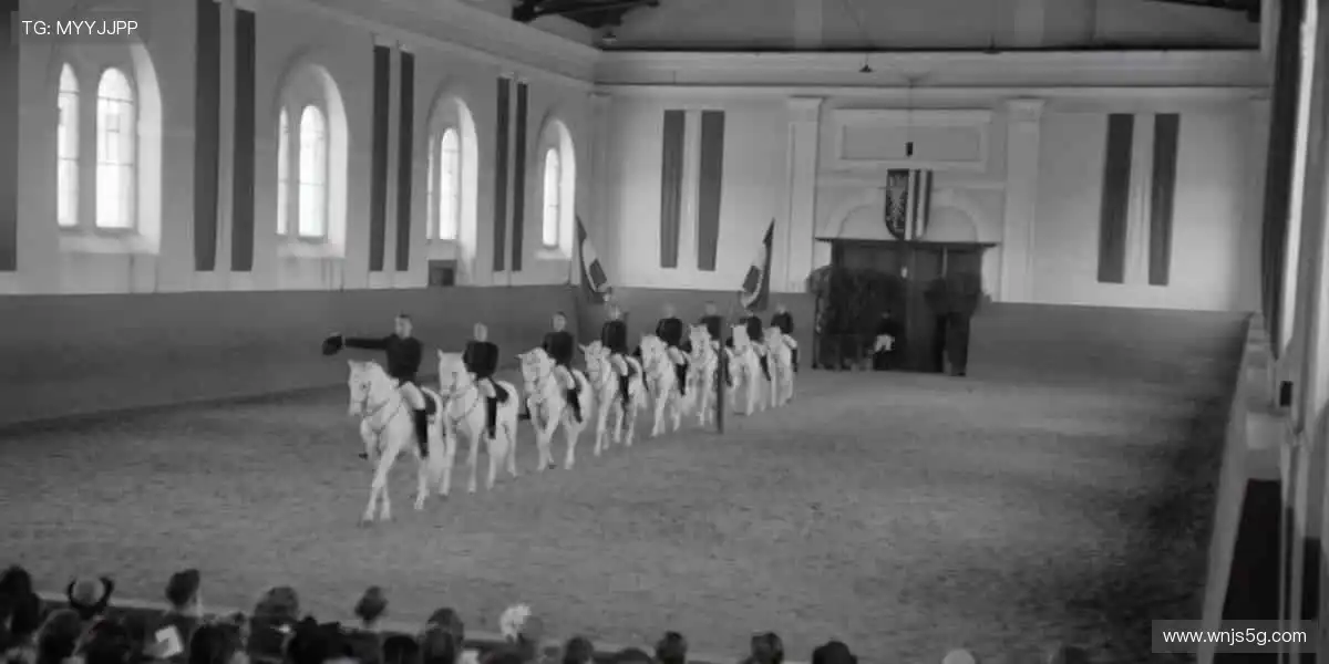 🎯周边好物，球迷必备！🎲